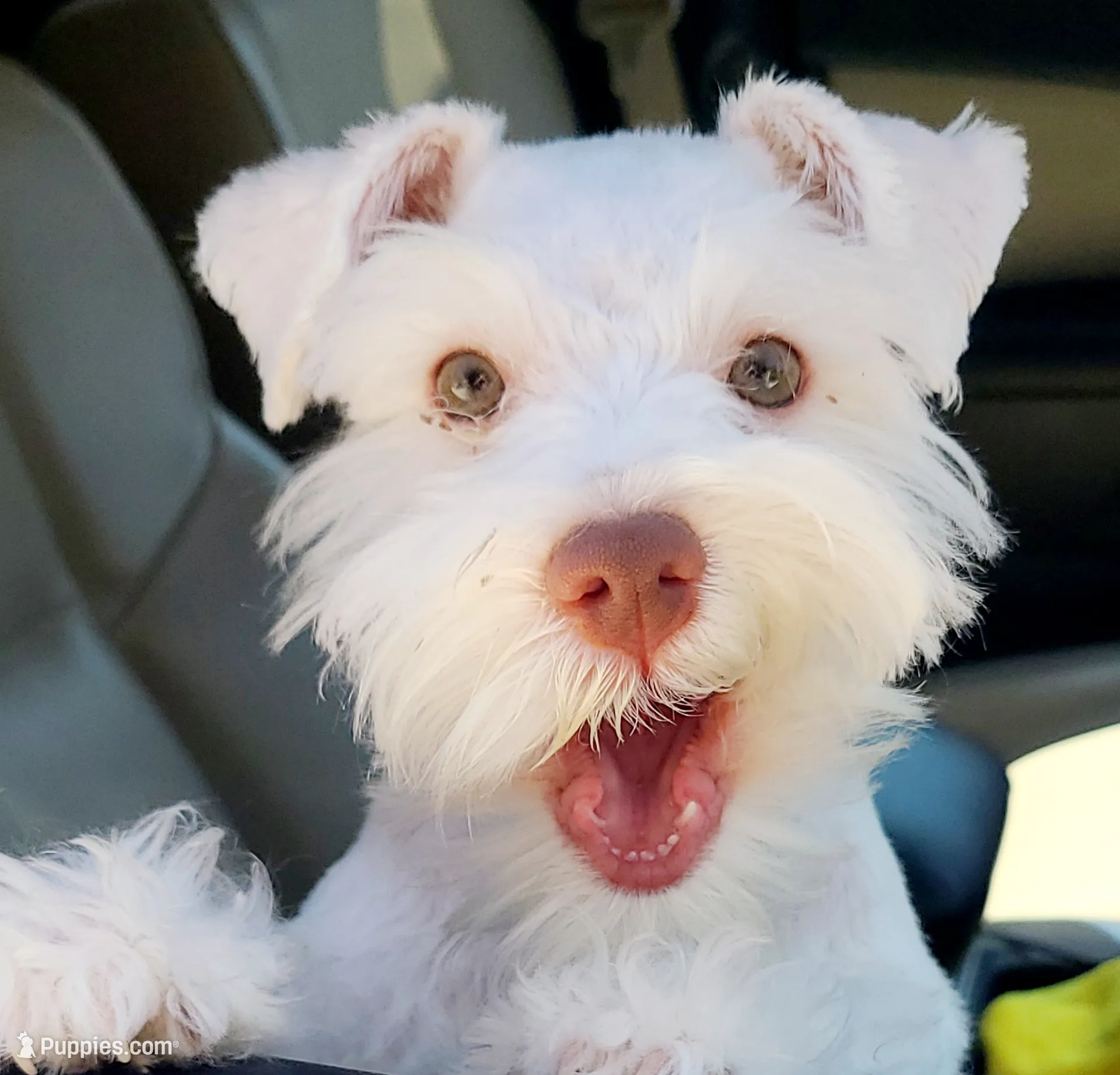 processed/d2382725-447f-4bd3-9e68-ccc595c0f43e/facility/6f8fc73f-375d-4a4d-bbd4-120d3cea18e4