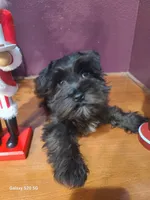 processed/d2382725-447f-4bd3-9e68-ccc595c0f43e/listing/94a88fb1-fc21-4553-a626-c56861e4af61/38fcb1ff-fdfa-4edb-8f65-5b07db0a0b15