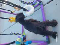 processed/d2382725-447f-4bd3-9e68-ccc595c0f43e/listing/94a88fb1-fc21-4553-a626-c56861e4af61/68882981-ddc2-4d30-be6b-bceb0608a497