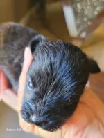 processed/d2382725-447f-4bd3-9e68-ccc595c0f43e/listing/94a88fb1-fc21-4553-a626-c56861e4af61/9a9055ba-41bc-47d1-b914-5a7b1232eff1