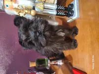 processed/d2382725-447f-4bd3-9e68-ccc595c0f43e/listing/94a88fb1-fc21-4553-a626-c56861e4af61/fa16baa7-d2a7-493b-b1f9-16538568320f