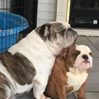 processed/d23aba22-dfa9-41d2-88fd-f95e8f84a22c/facility/0fd141e5-a347-48e6-b85a-804c3f3c23d8