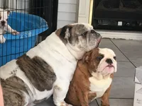 processed/d23aba22-dfa9-41d2-88fd-f95e8f84a22c/facility/0fd141e5-a347-48e6-b85a-804c3f3c23d8