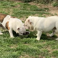 processed/d23aba22-dfa9-41d2-88fd-f95e8f84a22c/facility/790566a0-0119-4780-867a-891fe1d0cbfb