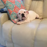 processed/d23aba22-dfa9-41d2-88fd-f95e8f84a22c/facility/8205c358-dfa3-4086-93c5-b99bd62f3d7a