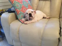 processed/d23aba22-dfa9-41d2-88fd-f95e8f84a22c/facility/8205c358-dfa3-4086-93c5-b99bd62f3d7a