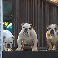 processed/d23aba22-dfa9-41d2-88fd-f95e8f84a22c/facility/916d7536-5376-4b67-8179-ea0d18ee2184