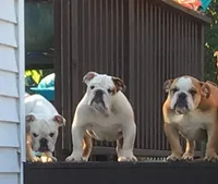 processed/d23aba22-dfa9-41d2-88fd-f95e8f84a22c/facility/916d7536-5376-4b67-8179-ea0d18ee2184