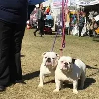 processed/d23aba22-dfa9-41d2-88fd-f95e8f84a22c/facility/969c0e05-f50c-41f4-83db-912134ac42e1