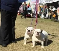 processed/d23aba22-dfa9-41d2-88fd-f95e8f84a22c/facility/969c0e05-f50c-41f4-83db-912134ac42e1