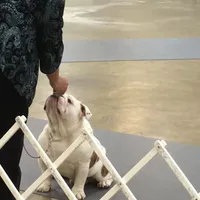 processed/d23aba22-dfa9-41d2-88fd-f95e8f84a22c/facility/a4b7141c-6afe-484d-9bcb-451829cf17bd