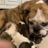 processed/d23aba22-dfa9-41d2-88fd-f95e8f84a22c/facility/b63a35d2-93a0-4066-b2cf-7ef6365a8668