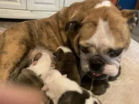 processed/d23aba22-dfa9-41d2-88fd-f95e8f84a22c/facility/b63a35d2-93a0-4066-b2cf-7ef6365a8668