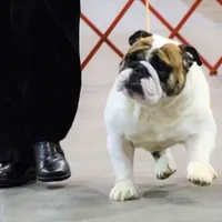 processed/d23aba22-dfa9-41d2-88fd-f95e8f84a22c/facility/d14914a6-d37f-4d34-86ef-77d84835ab27