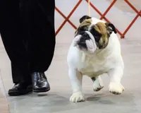 processed/d23aba22-dfa9-41d2-88fd-f95e8f84a22c/facility/d14914a6-d37f-4d34-86ef-77d84835ab27