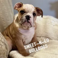 processed/d23aba22-dfa9-41d2-88fd-f95e8f84a22c/listing/4cb786a6-20c4-4d71-93f0-aeb78ff4408c/20b3119a-9e5c-4a90-b0b0-07084e635229