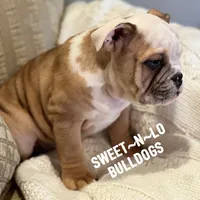 processed/d23aba22-dfa9-41d2-88fd-f95e8f84a22c/listing/4cb786a6-20c4-4d71-93f0-aeb78ff4408c/448e762f-a7e6-4447-84f0-d55af9b52cd6