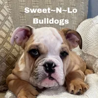 processed/d23aba22-dfa9-41d2-88fd-f95e8f84a22c/listing/4cb786a6-20c4-4d71-93f0-aeb78ff4408c/79a2fddc-3bf3-4a99-8925-02c66a7d5d48