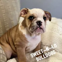 processed/d23aba22-dfa9-41d2-88fd-f95e8f84a22c/listing/4cb786a6-20c4-4d71-93f0-aeb78ff4408c/c52f6129-dbbc-4164-a389-d2424796b3c9