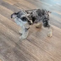 processed/d23b640b-2db6-4b36-9f85-56c2854d545c/facility/0d0987df-f9d9-4f35-a577-693ebb99f0d1