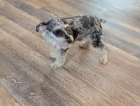 processed/d23b640b-2db6-4b36-9f85-56c2854d545c/facility/0d0987df-f9d9-4f35-a577-693ebb99f0d1