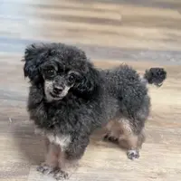 processed/d23b640b-2db6-4b36-9f85-56c2854d545c/facility/21ab432b-a362-47a4-88d6-6bf6408e9bbe