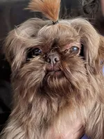 processed/d23b640b-2db6-4b36-9f85-56c2854d545c/facility/2943352c-fab0-4f73-8f0d-803c44e2fa24