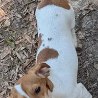 processed/d23b640b-2db6-4b36-9f85-56c2854d545c/facility/3a711bf9-4ab6-4d61-8218-017f07c44df9