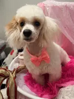 processed/d23b640b-2db6-4b36-9f85-56c2854d545c/facility/485e0889-42d2-474e-84e3-8135fe1ed801