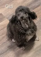 processed/d23b640b-2db6-4b36-9f85-56c2854d545c/facility/6a6b90cd-c8f4-49f2-9a3d-2b20d8ca0179