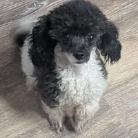 processed/d23b640b-2db6-4b36-9f85-56c2854d545c/facility/9655f60f-4f8e-46c8-b4be-96a6a8c57bff