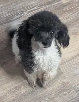 processed/d23b640b-2db6-4b36-9f85-56c2854d545c/facility/9655f60f-4f8e-46c8-b4be-96a6a8c57bff