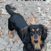 processed/d23b640b-2db6-4b36-9f85-56c2854d545c/facility/ad505f0c-5ca6-4c32-b3ad-5088ef5489d1