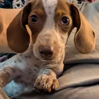 processed/d23b640b-2db6-4b36-9f85-56c2854d545c/facility/b6618d62-b54a-4284-b7a7-7cfb0b46db90