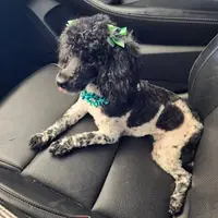 processed/d23b640b-2db6-4b36-9f85-56c2854d545c/facility/c6e742f6-fc91-48cd-8ba7-3829258b07b5