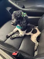 processed/d23b640b-2db6-4b36-9f85-56c2854d545c/facility/c6e742f6-fc91-48cd-8ba7-3829258b07b5