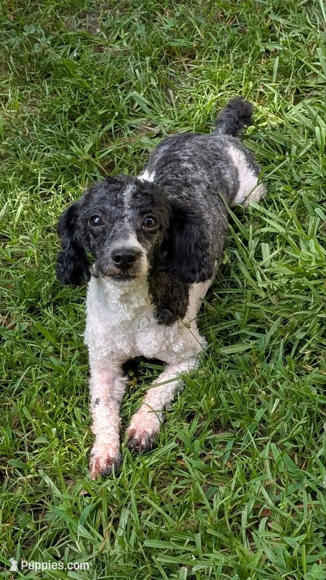 processed/d23b640b-2db6-4b36-9f85-56c2854d545c/facility/e6cd42c2-76c2-4a2c-bba5-191b4b2b2005