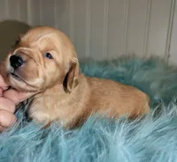 processed/d23b640b-2db6-4b36-9f85-56c2854d545c/listing/13b37a59-e5a6-4d12-9d28-f7d1376508aa/58dfcaac-1feb-42c1-bea8-fe6d40dde68c