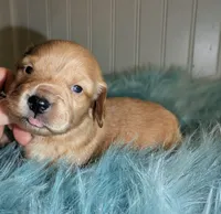 processed/d23b640b-2db6-4b36-9f85-56c2854d545c/listing/13b37a59-e5a6-4d12-9d28-f7d1376508aa/5c1dc410-f2b2-4609-a6c6-89a6a1deeb0c