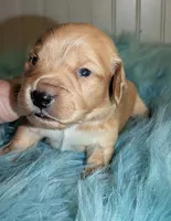 processed/d23b640b-2db6-4b36-9f85-56c2854d545c/listing/13b37a59-e5a6-4d12-9d28-f7d1376508aa/8e6e03e8-cc6b-43b3-bdf1-b8ca29e6aa1d