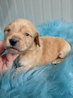 processed/d23b640b-2db6-4b36-9f85-56c2854d545c/listing/13b37a59-e5a6-4d12-9d28-f7d1376508aa/b4fb8581-9ecc-4e68-9634-bceacb595af8