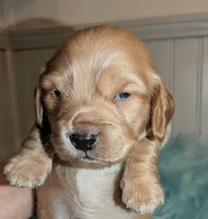 processed/d23b640b-2db6-4b36-9f85-56c2854d545c/listing/13b37a59-e5a6-4d12-9d28-f7d1376508aa/fceee8a4-447a-4ffe-9146-f549011c7a5d