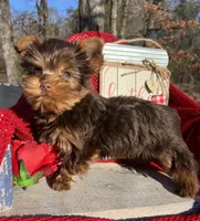 processed/d23b640b-2db6-4b36-9f85-56c2854d545c/listing/6951f1a7-5a20-4a76-8e48-9a332b84a936/004f000b-dd48-4179-9d8a-ed9eeaa0c503