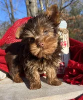 processed/d23b640b-2db6-4b36-9f85-56c2854d545c/listing/6951f1a7-5a20-4a76-8e48-9a332b84a936/1437986a-68dd-4456-8894-0560f3477eec