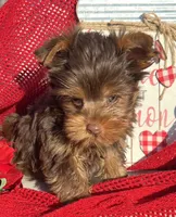 processed/d23b640b-2db6-4b36-9f85-56c2854d545c/listing/6951f1a7-5a20-4a76-8e48-9a332b84a936/947756de-5f5c-4bab-96de-0fcad8f1d7e9