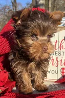 processed/d23b640b-2db6-4b36-9f85-56c2854d545c/listing/6951f1a7-5a20-4a76-8e48-9a332b84a936/cbca8530-c09d-4f38-9482-32383af0dc19