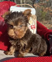 processed/d23b640b-2db6-4b36-9f85-56c2854d545c/listing/6951f1a7-5a20-4a76-8e48-9a332b84a936/d6634ff5-f9c0-483f-891d-5538475927d5