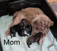 processed/d23b640b-2db6-4b36-9f85-56c2854d545c/listing/c78caf05-cc36-4f2a-85a5-dc75dfb7e3c2/4038a736-a1ef-447b-bee1-cc1abf02edda