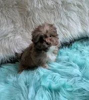 processed/d23b640b-2db6-4b36-9f85-56c2854d545c/listing/c78caf05-cc36-4f2a-85a5-dc75dfb7e3c2/7276033b-b34d-4b0c-bcaf-65411eea82c9