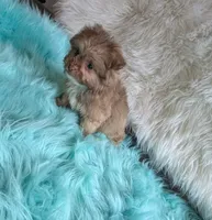 processed/d23b640b-2db6-4b36-9f85-56c2854d545c/listing/c78caf05-cc36-4f2a-85a5-dc75dfb7e3c2/ab4ccf4a-1311-47fe-890f-2ae83e13ea11